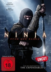 : Ninja - Pfad der Rache 2013 German 1040p AC3 microHD x264 - RAIST