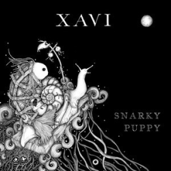: FLAC - Snarky Puppy - Discography 2006-2016