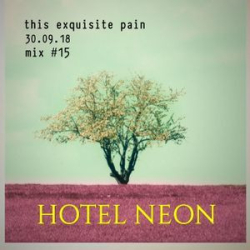 : FLAC - Hotel Neon - Discography 2013-2019