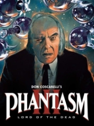 : Phantasm III - Lord of the Dead 1994 German 1080p AC3 microHD x264 - RAIST