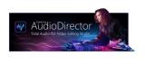 : CyberLink AudioDirector Ultra v11.0.2110.0 (X64)