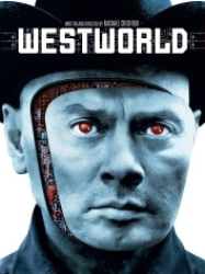 : Westworld 1973 German 800p AC3 microHD x264 - RAIST