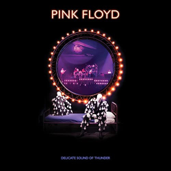 : Pink Floyd - Delicate Sound Of Thunder (2020)