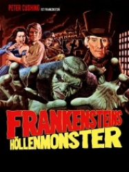 : Frankenstein's Höllenmonster 1974 German 1080p AC3 microHD x264 - RAIST