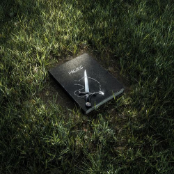 : Absent - PAGES (2020)