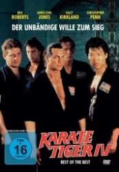 : Karate Tiger IV - Best of the Best 1989 German 1040p AC3 microHD x264 - RAIST