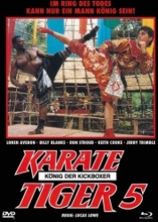 : Karate Tiger V - König der Kickboxer 1990 German 1080p AC3 microHD x264 - RAIST