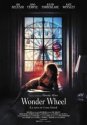 : Wonder Wheel 2017 German 960p AC3 microHD x264 - RAIST