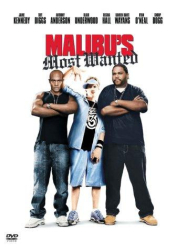 : Malibus Most Wanted 2003 Remastered German Ac3D Webrip x264-Gsg9
