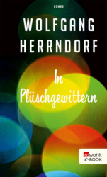 : Wolfgang Herrndorf - In Plüschgewittern