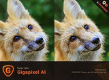 : Topaz Gigapixel AI v5.4.1 (x64)