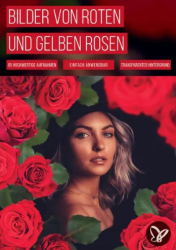 : PSD Tutorials Bilder von roten und gelben Rosen