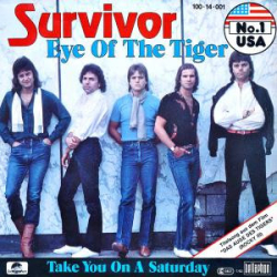 : FLAC - Survivor - Original Album Series [11-CD Box Set] (2021)