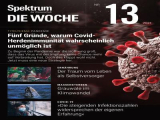 :  Spektrum die Woche Magazin No 13 2021