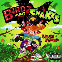 : Sauce Walka - Birdz Hunt Snakes (2021)