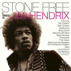 : FLAC - Jimi Hendrix - Original Album Series [23-CD Box Set] (2021)