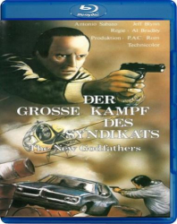 : Der grosse Kampf des Syndikats 1979 German 720p BluRay x264-SpiCy