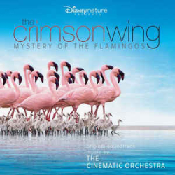 : FLAC - The Cinematic Orchestra - Original Album Series [18-CD Box Set] (2021)