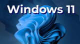 : Windows 11 Pro + Enterprise 21H2 Build 22000.65 (x64)