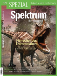 :  Spektrum der Wissenschaft Magazin Spezial No 03 2021