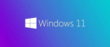 : Windows 11 Pro Insider Preview 10.0.22000.100 (x64)