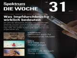 :  Spektrum die Woche Magazin August No 31 2021