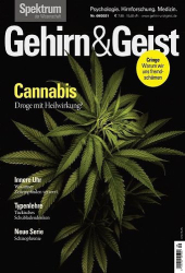 : Gehirn und Geist Magazin No 09 September 2021
