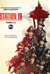 : Seattle Firefighters Die jungen Helden S04E13 German Dl 720p Web h264-WvF