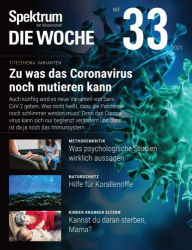 : Spektrum Die Woche Magazin No 33 vom 19  August 2021
