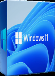: Microsoft Windows 11 Enterprise 21H2 Build 22000.132 (x64)