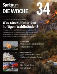 : Spektrum Die Woche Magazin No 34 vom 26  August 2021
