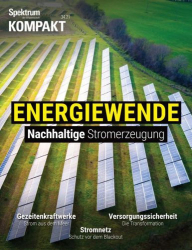 : Spektrum der Wissenschaft Kompakt No 34 vom 30  August 2021
