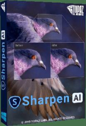 : Topaz Sharpen AI v3.2.2 (x64) Portable