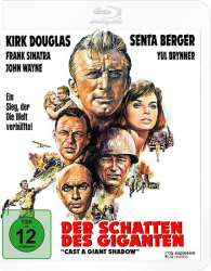 : Der Schatten des Giganten 1966 German Dl 1080p BluRay x264-SpiCy