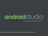 : Android Studio 2020.3.1.24 (x64)