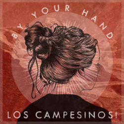 : FLAC - Los Campesinos - Discography 2007-2017