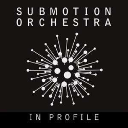 : FLAC - Submotion Orchestra - Discography 2010-2018