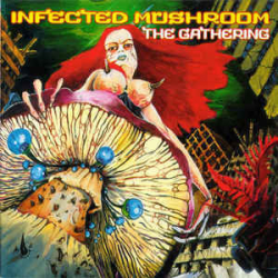 : FLAC - Infected Mushroom - Discography 1999-2018