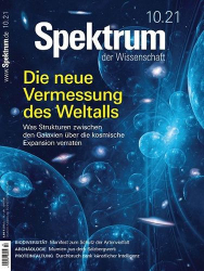 : Spektrum der Wissenschaft Magazin No 10 Oktober 2021
