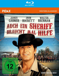 : Auch ein Sheriff braucht mal Hilfe 1969 German Dl 1080p BluRay Avc-Hovac