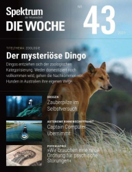 : Spektrum die Woche Magazin Oktober No 43 2021
