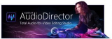 : CyberLink AudioDirector Ultra v12.0.2219.0 (x64)