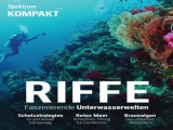 :  Spektrum der Wissenschaft Kompakt Magazin November No 43 2021