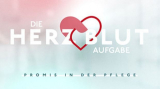 : Die Herzblut Aufgabe Promis in der Pflege S01E03 German 720p Hdtv x264-TvnatiOn