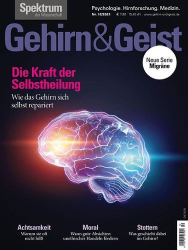 : Gehirn und Geist Magazin für Psychologie und Hirnforschung No 12 2021
