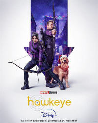 : Hawkeye S01E01 German DL WEBRip x264 - FSX