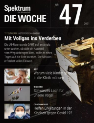 : Spektrum die Woche Magazin November No 47 2021
