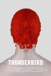 : Thunderbird - Schatten der Vergangenheit 2019 German 800p microHD x264 - RAIST