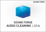 : MAGIX SOUND FORGE Audio Cleaning Lab 4 v26.0.0.23 (x64)