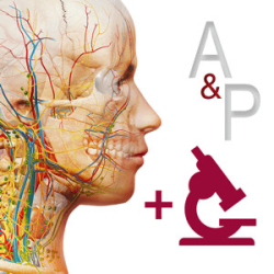 : Visible Body Anatomy & Physiology v6.2.07 MAS